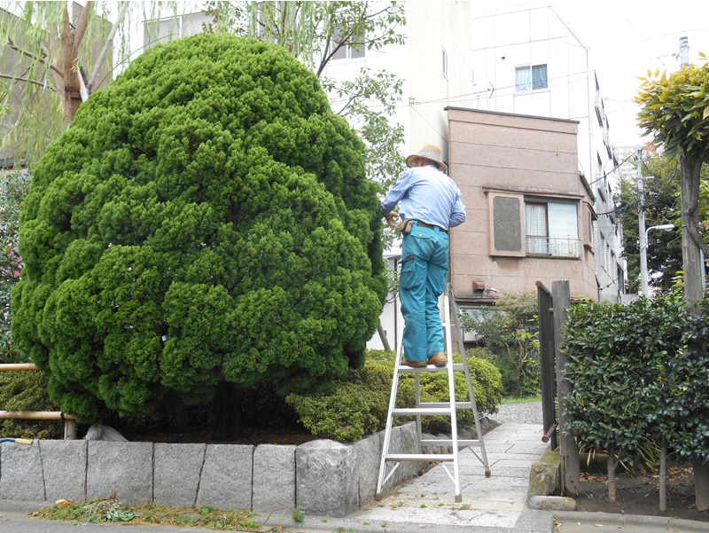 http://www.davidepambianchi.it/files/gimgs/12_mybrtky801x600v00013.jpg